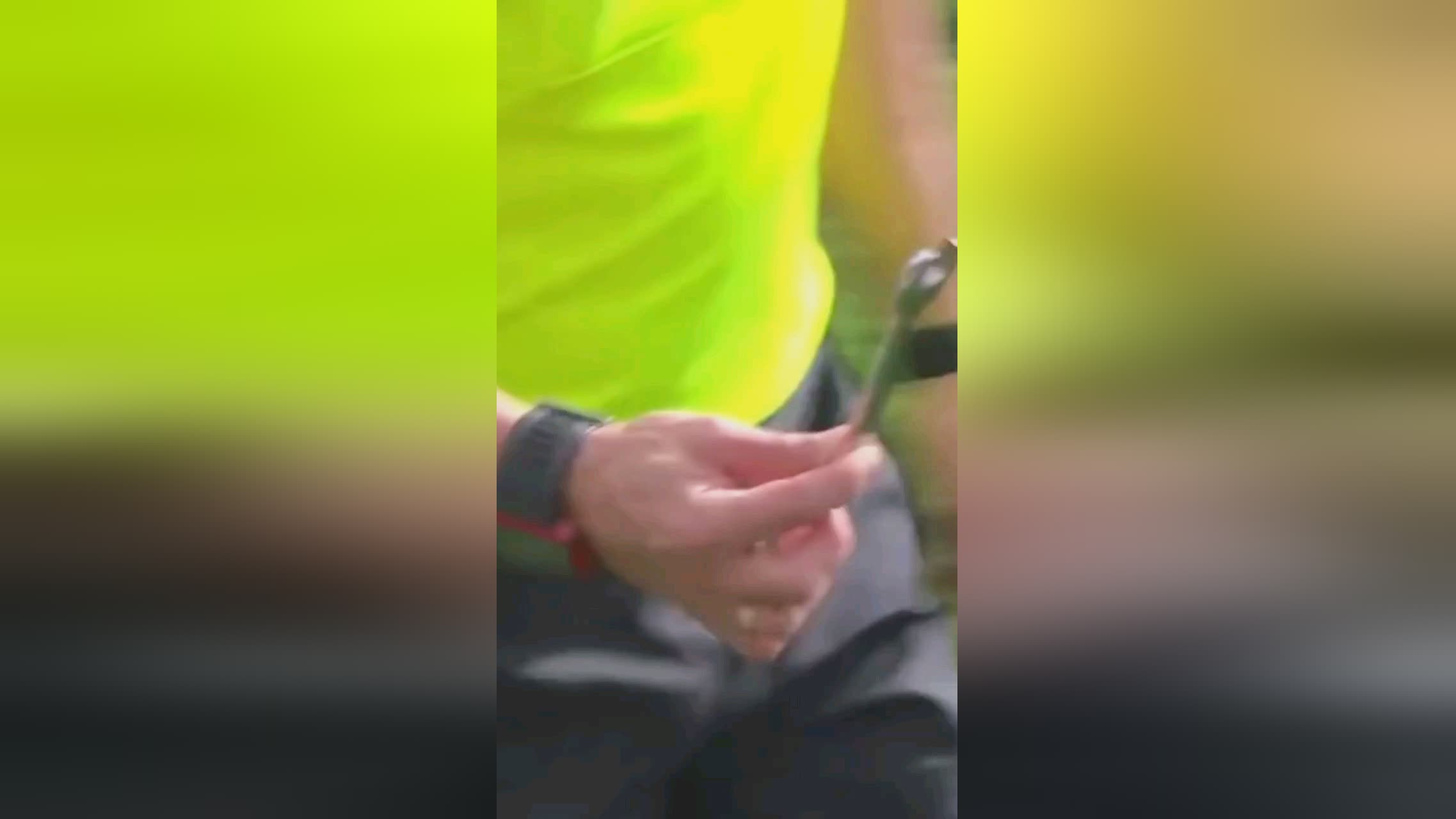 悦目与申花